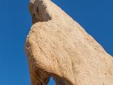 Joshua Tree 001